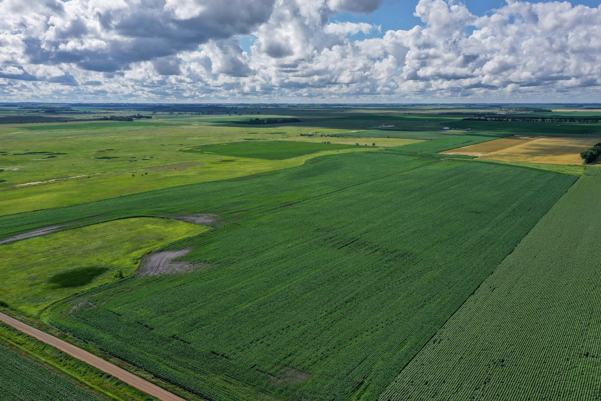 26 St Tanberg Twp Mn 56579 Rothsay, MN 56579 - Photo 9 of 47