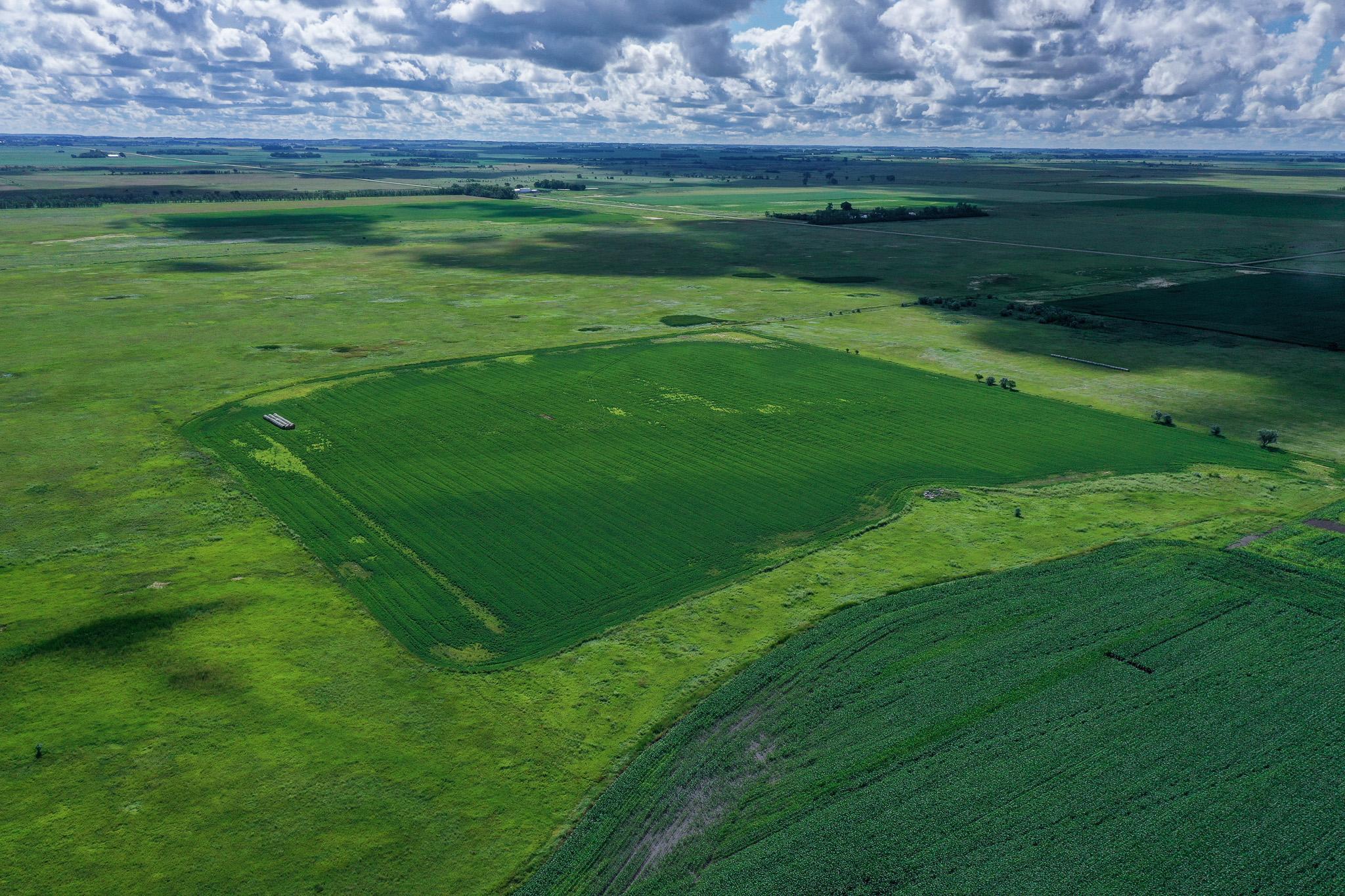 26 St Tanberg Twp Mn 56579 Rothsay, MN 56579 - Photo 10 of 47