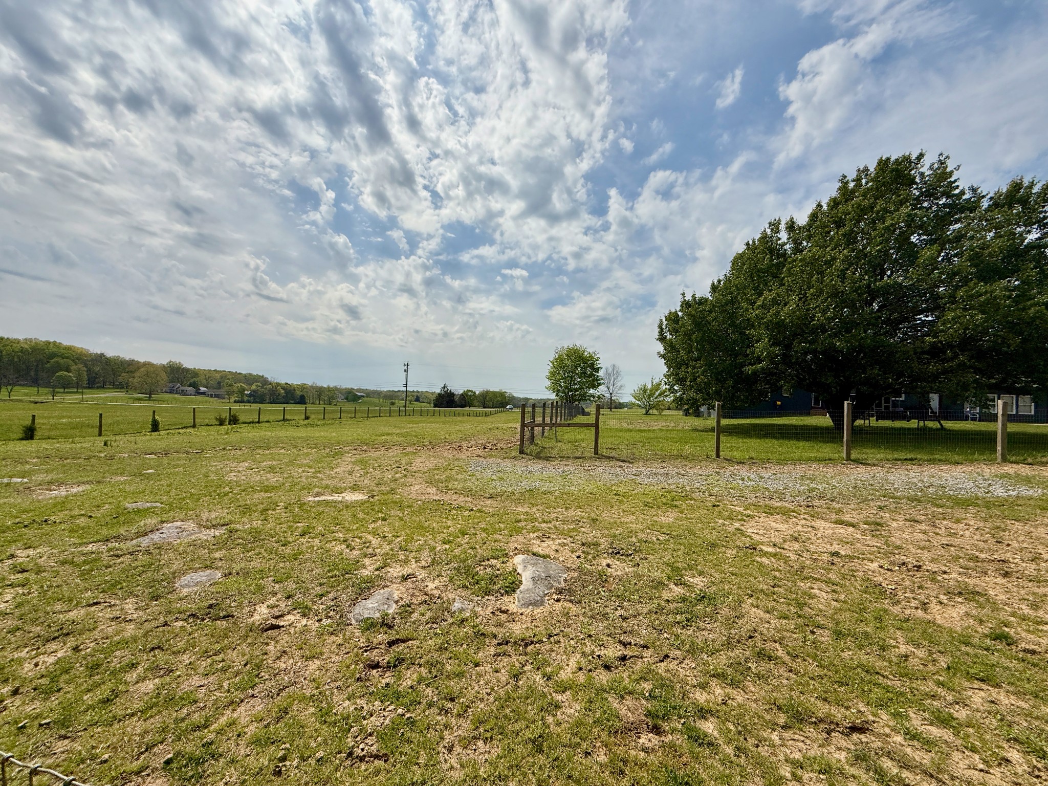 1545 Leeville Road Lebanon, TN 37090 - Photo 44 of 66 a view of a field with a tree