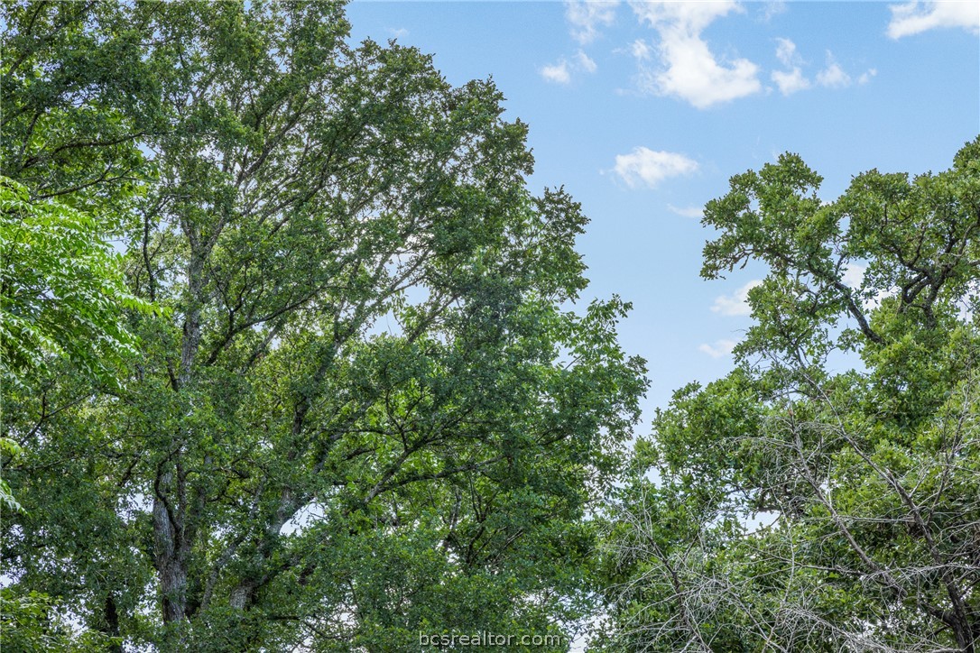 Tbd Weber Road Bryan, TX 77808 - Photo 42 of 43