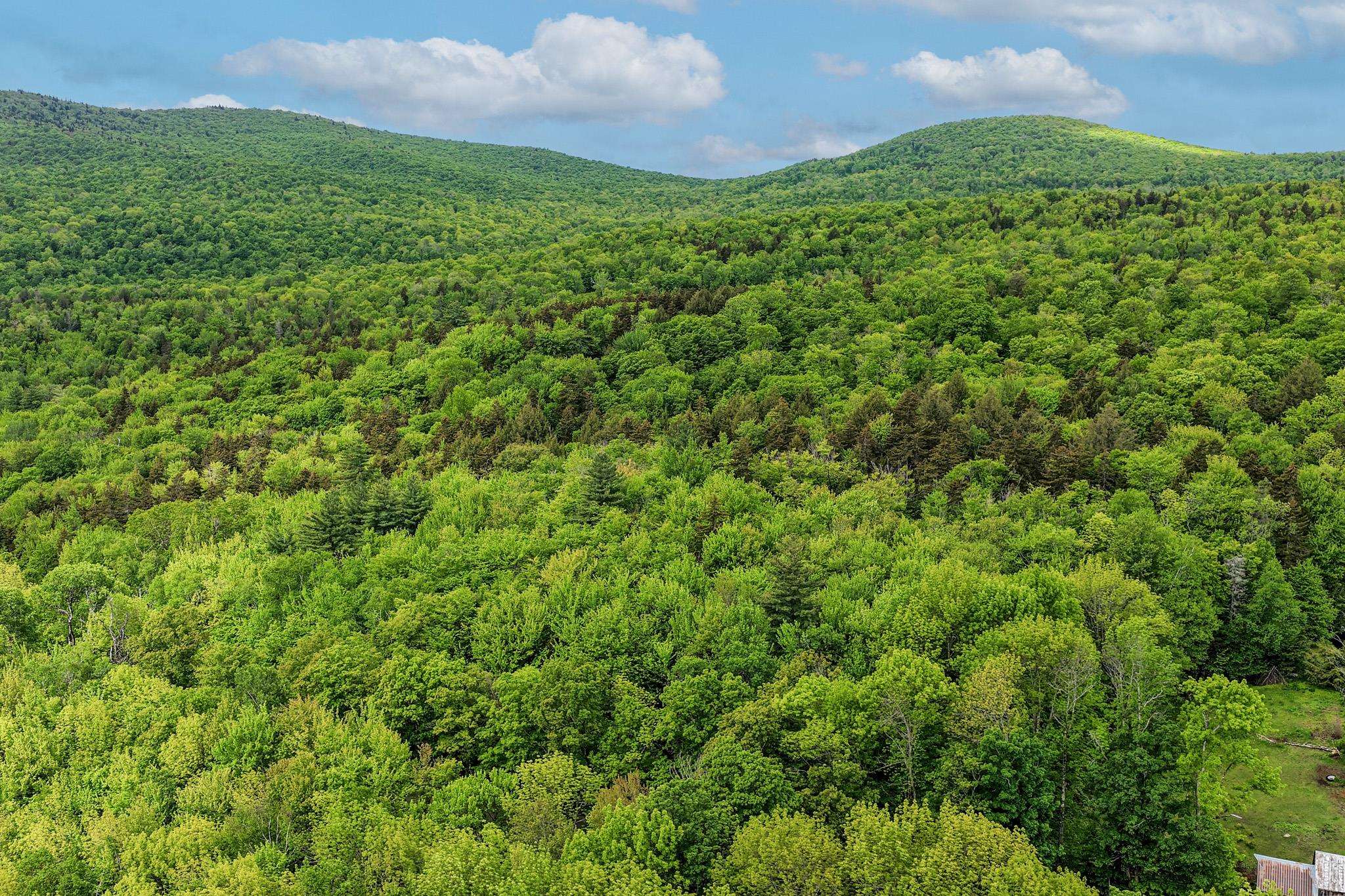 0 East Hill Road Andover, VT 05143 - Photo 6 of 17