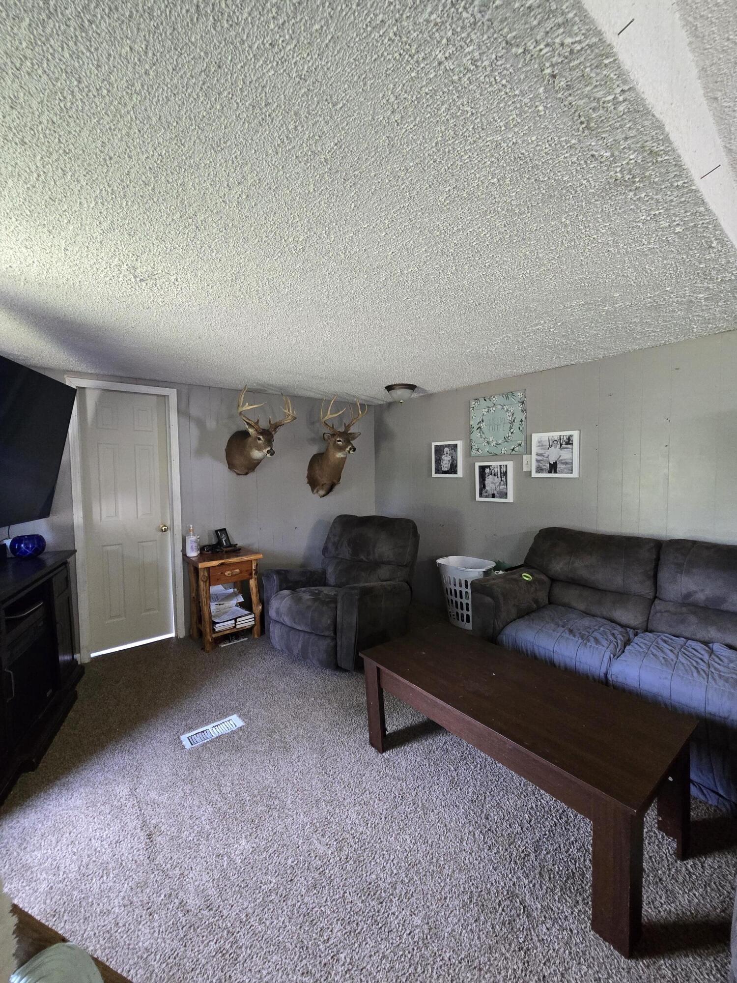 12495 5 Mile Road Evart, MI 49631 - Photo 16 of 75 20260526_141505