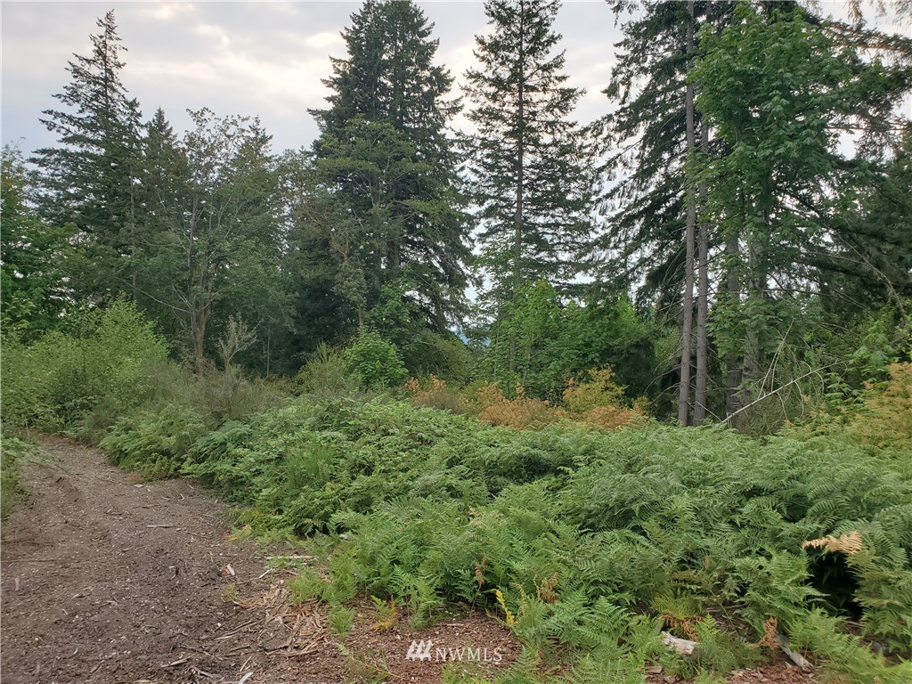 0 Anderson Hill Road Southwest Port Orchard, WA 98367 - Photo 14 of 24 Gallery Image 14