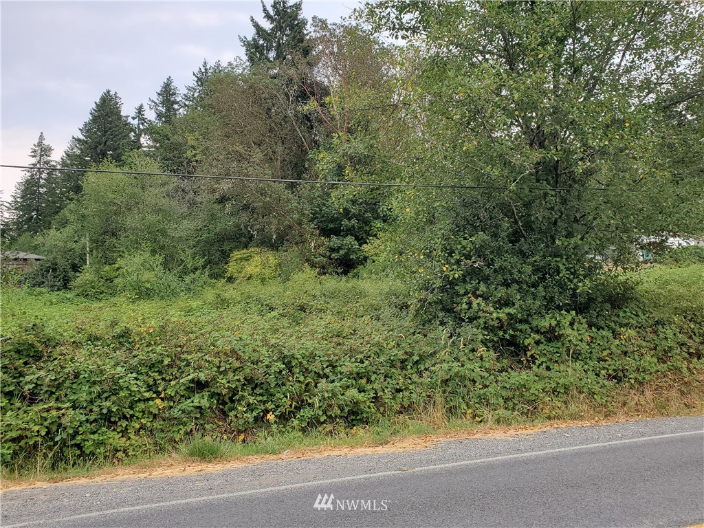 0 Anderson Hill Road Southwest Port Orchard, WA 98367 - Photo 3 of 24 Gallery Image 3