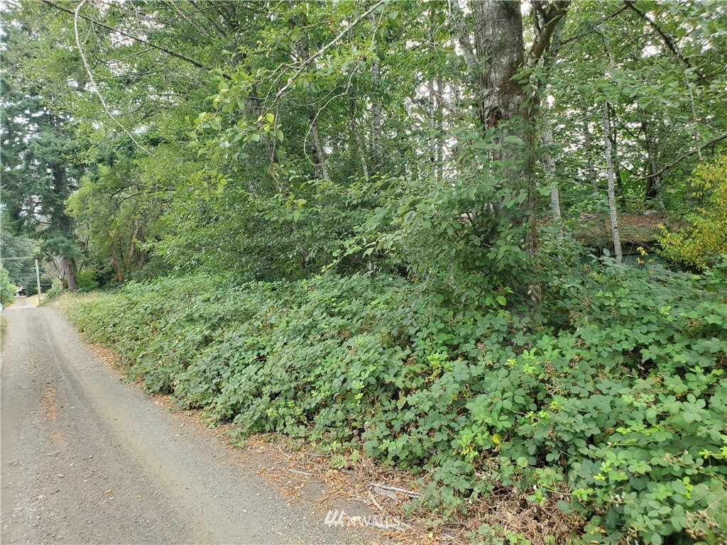 0 Anderson Hill Road Southwest Port Orchard, WA 98367 - Photo 22 of 24 Gallery Image 22
