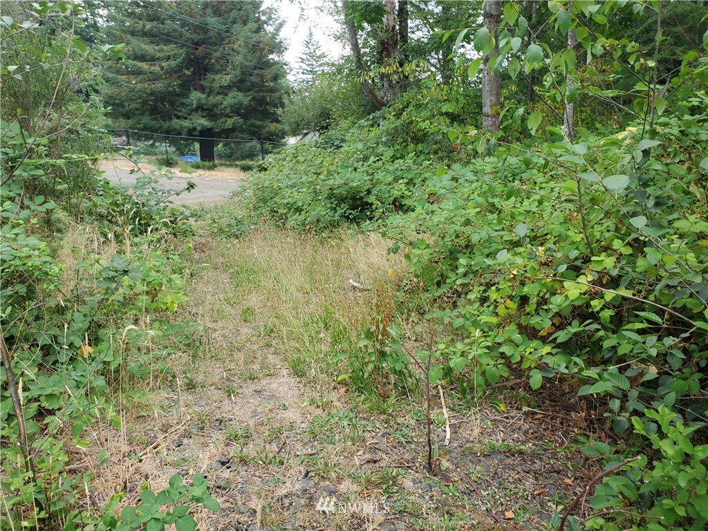 0 Anderson Hill Road Southwest Port Orchard, WA 98367 - Photo 8 of 24 Gallery Image 8