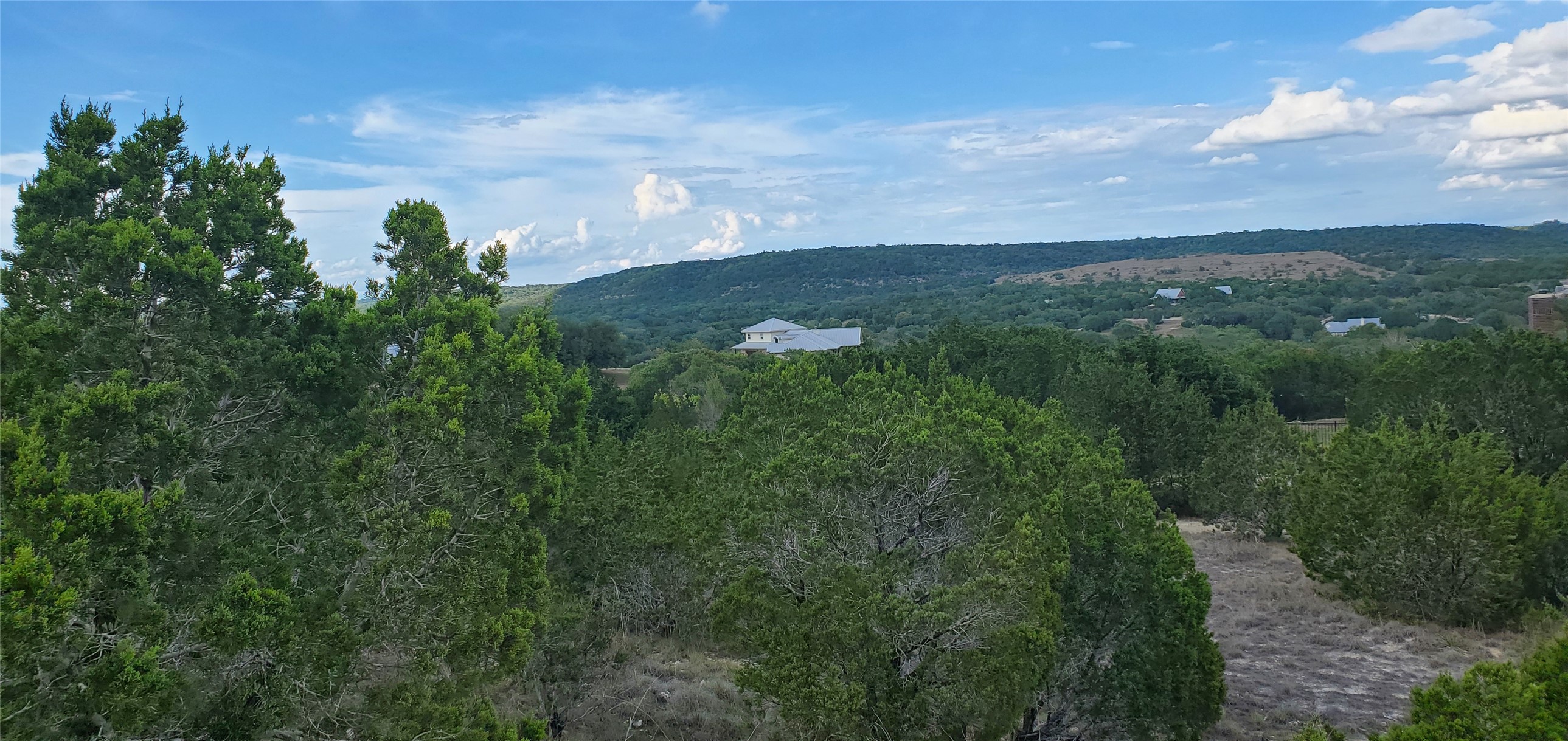 588 Balcones Ridge Way Bertram, TX 78605 - Photo 10 of 16 View of treesy lot