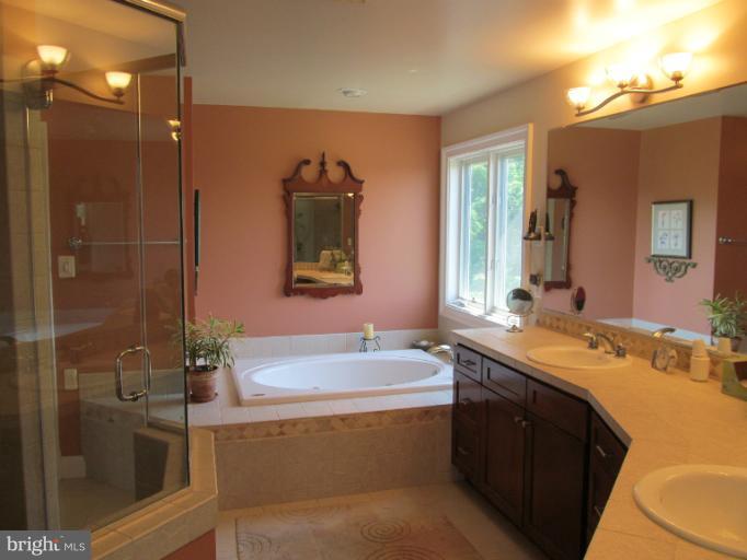 8689 Meadows Road Warrenton, VA 20186 - Photo 6 of 30 Bath (Master)