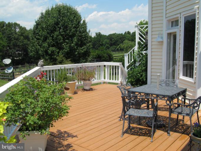 8689 Meadows Road Warrenton, VA 20186 - Photo 8 of 30 Exterior (Rear)