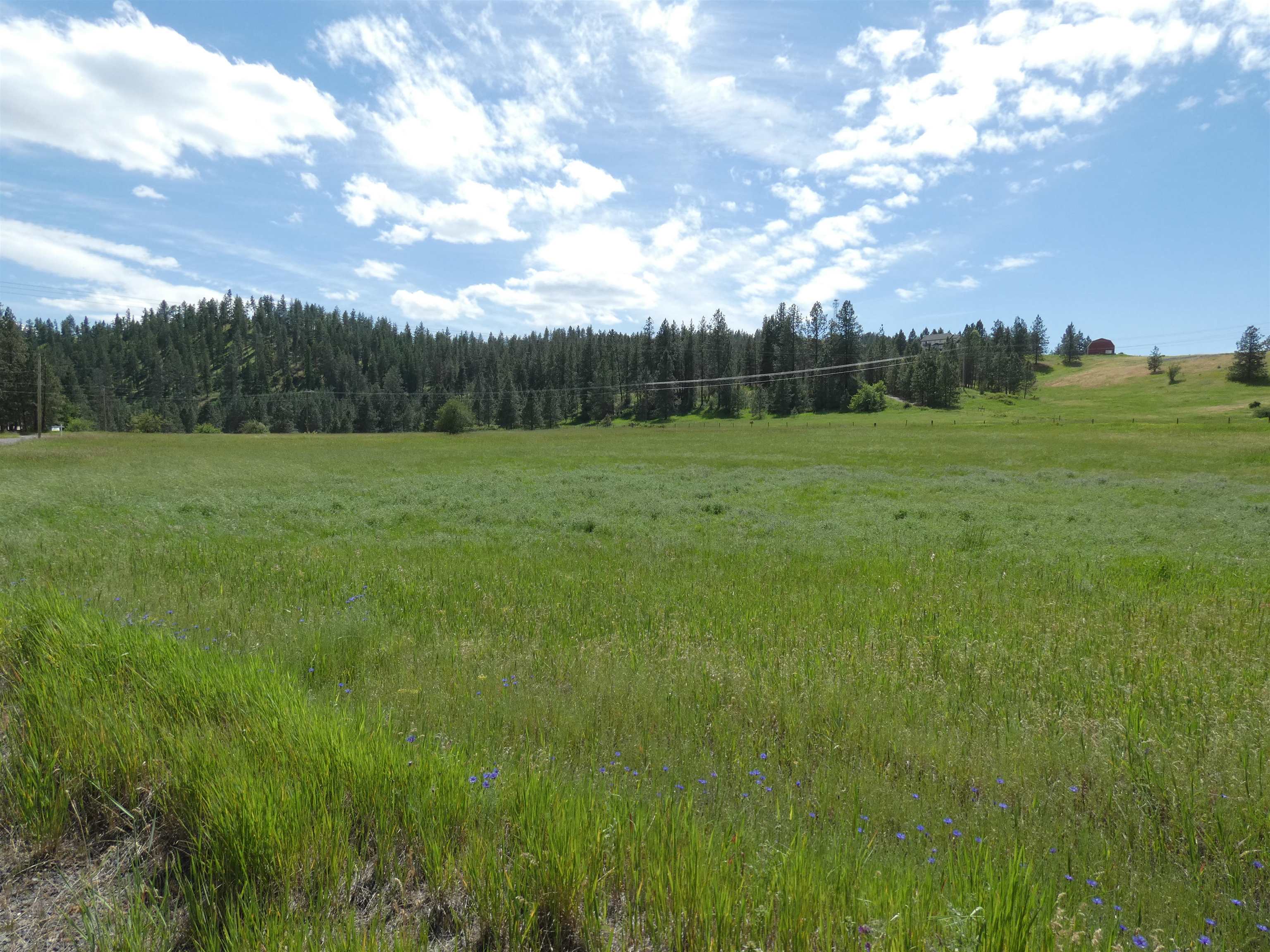 8309 West Jensen Road Cheney, WA 99004 - Photo 7 of 11