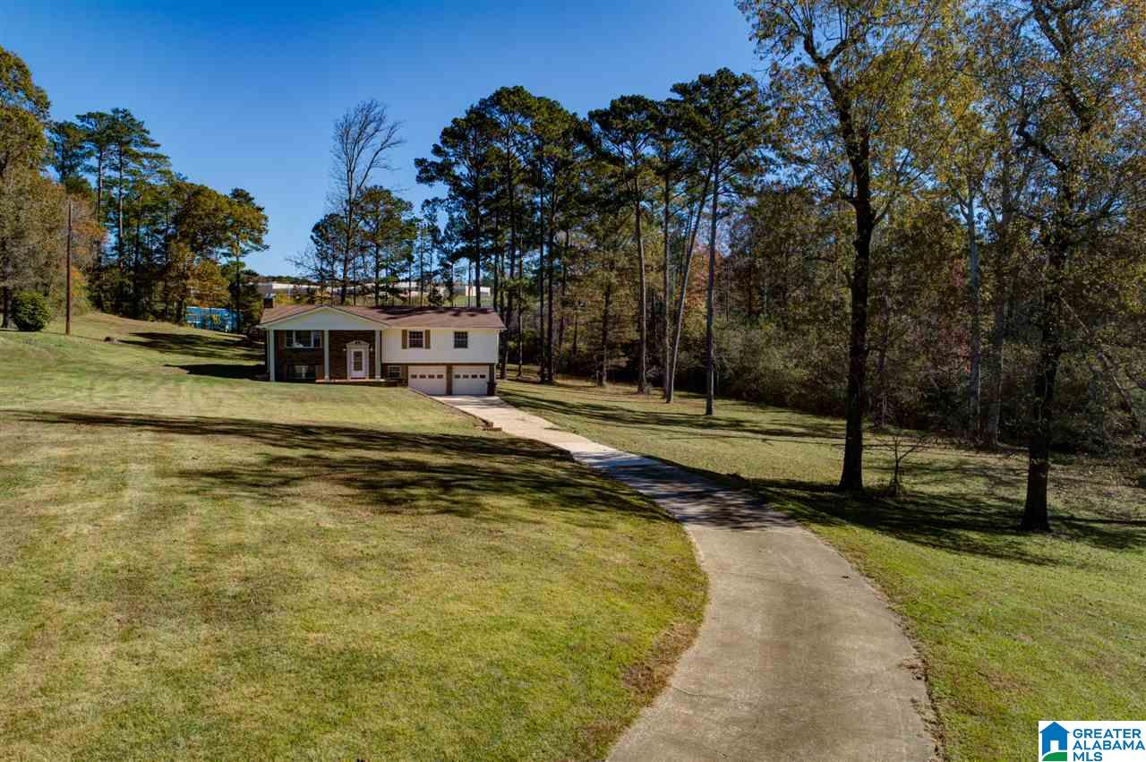 313 Old Black Crk Road Birmingham, AL 35217 - Photo 3 of 49