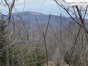 Joe Clayton Road Lansing, NC 28643 - Photo 1 of 18 a view of a yard with a tree