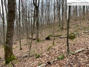 Joe Clayton Road Lansing, NC 28643 - Photo 18 of 18 a view of wooden fence
