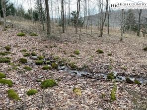 Joe Clayton Road Lansing, NC 28643 - Photo 3 of 18 a view of a forest with a tree
