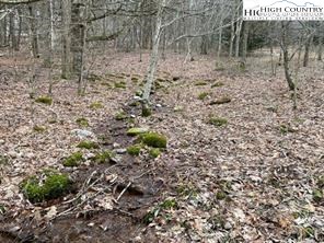 Joe Clayton Road Lansing, NC 28643 - Photo 5 of 18 a view of a dry yard with trees