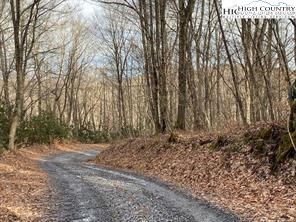 Joe Clayton Road Lansing, NC 28643 - Photo 6 of 18 a view of a yard with large trees