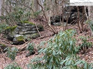 Joe Clayton Road Lansing, NC 28643 - Photo 7 of 18 a view of a forest