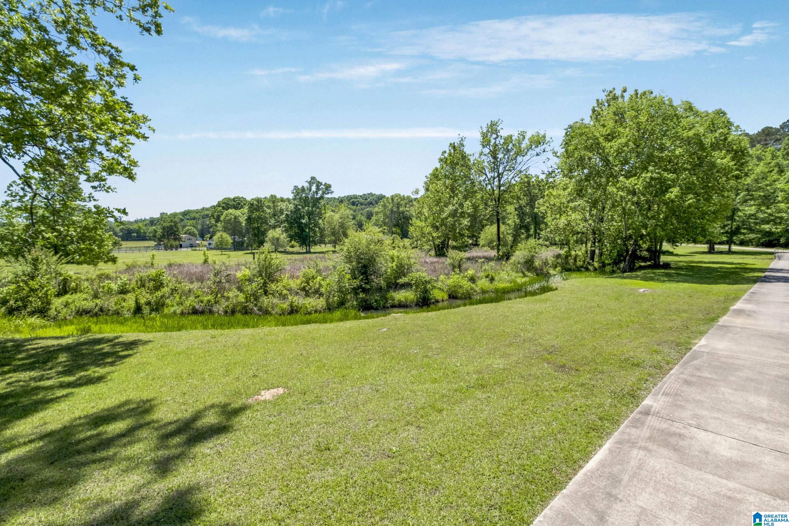 466 Seven Springs Road Wellington, AL 36279 - Photo 53 of 62