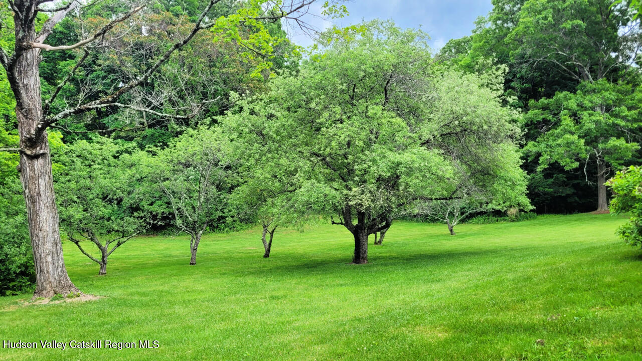 32 Old Rte 199 Red Hook, NY 12571 - Photo 8 of 34 iFruit trees
