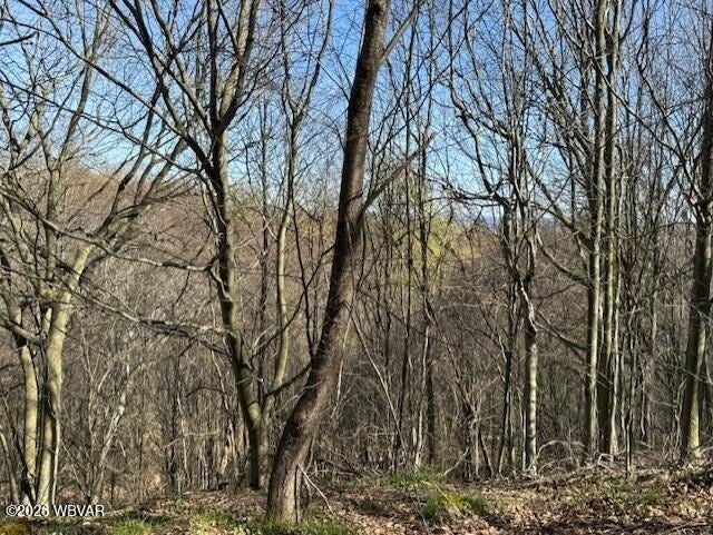 031 Glory Ridge Road Shunk, PA 17768 - Photo 3 of 10 Gallery Image 3