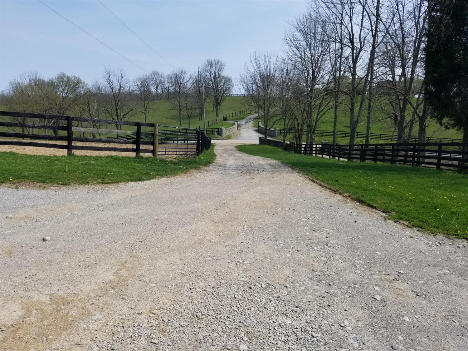 499 Levy Road Paris, KY 40361 - Photo 18 of 23 Listing Photo