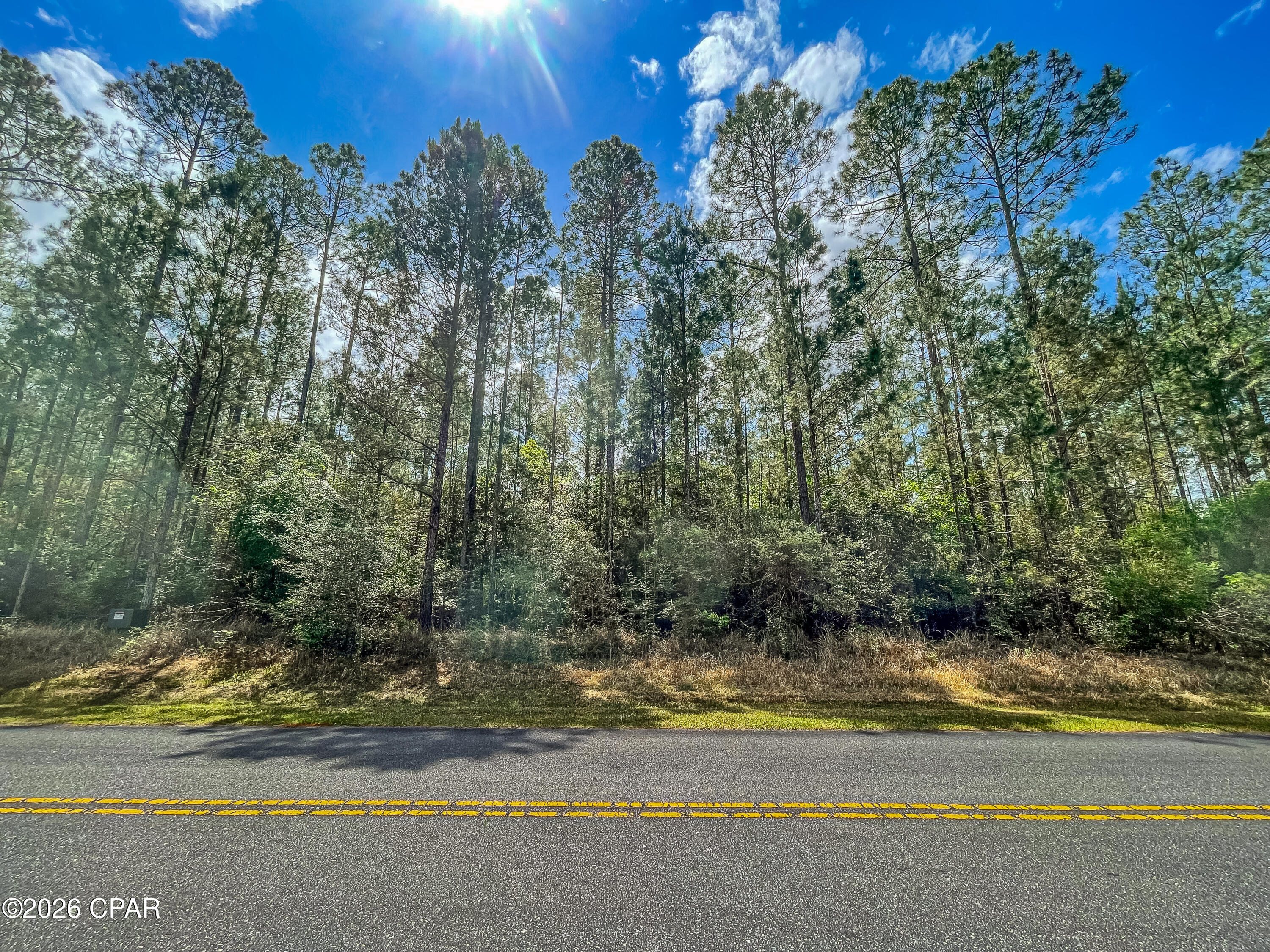4 Cypress Crossing Road Vernon, FL 32462 - Photo 12 of 15