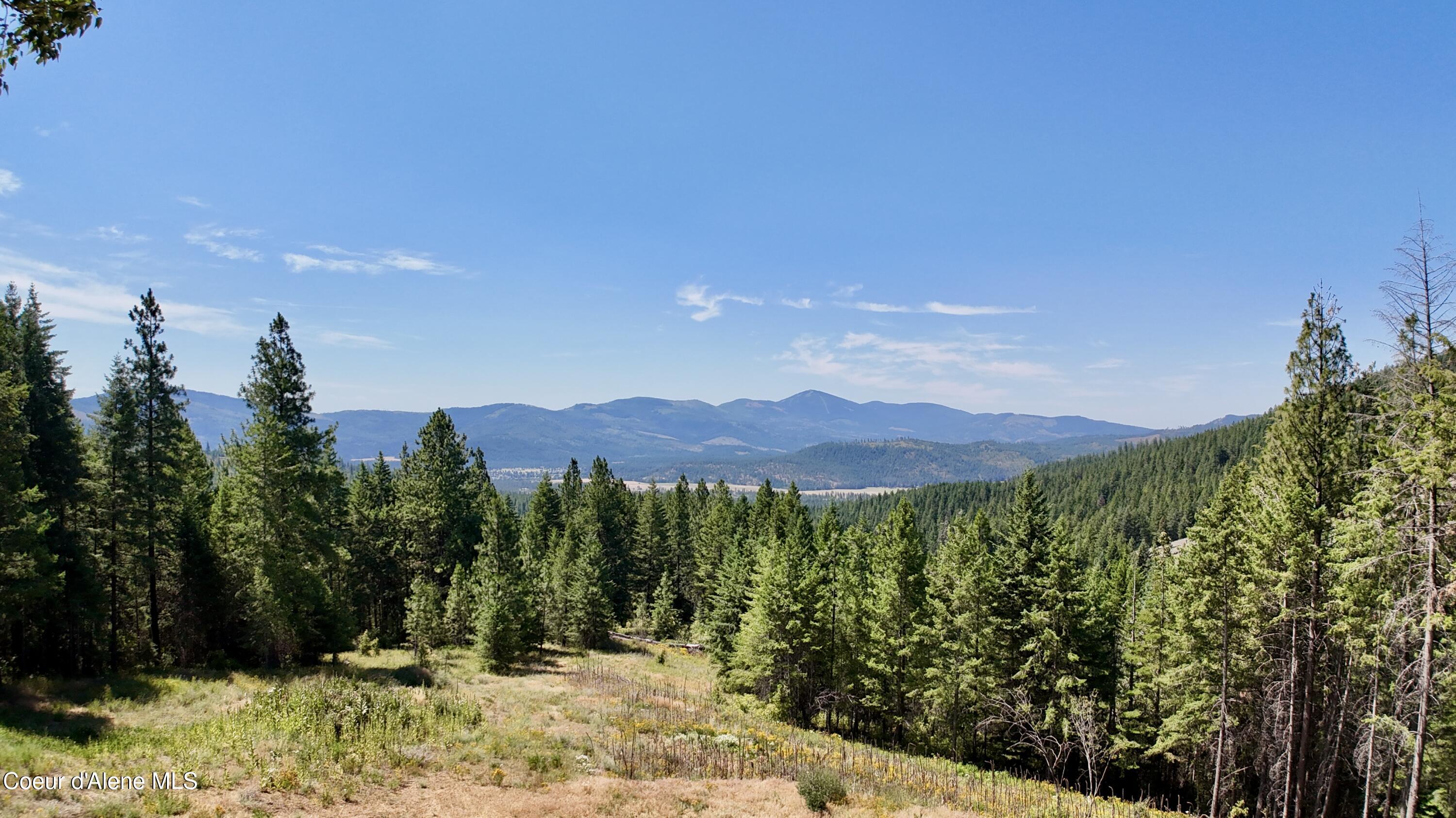 1710 Tower Mountain Road Blanchard, ID 83804 - Photo 11 of 44 11