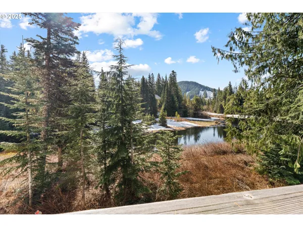 $1,049,000 | 31200 East Collins Lake Road, Unit 1, Government Camp, OR 97028