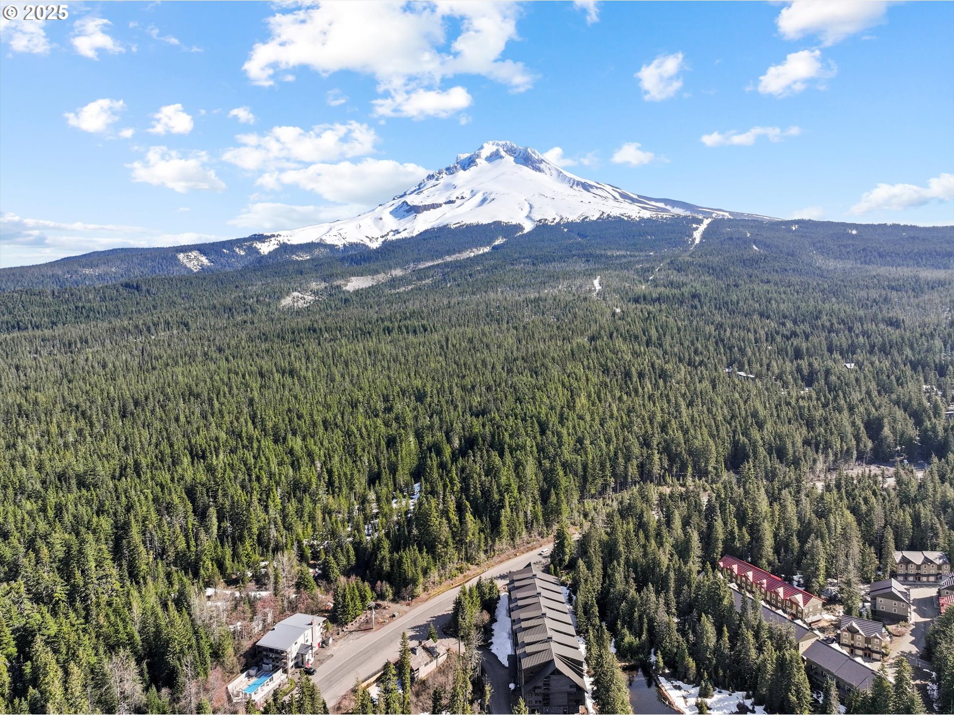 31200 East Collins Lake Road, Unit 1 Government Camp, OR 97028 - Photo 34 of 38 a view of a city with lush green forest
