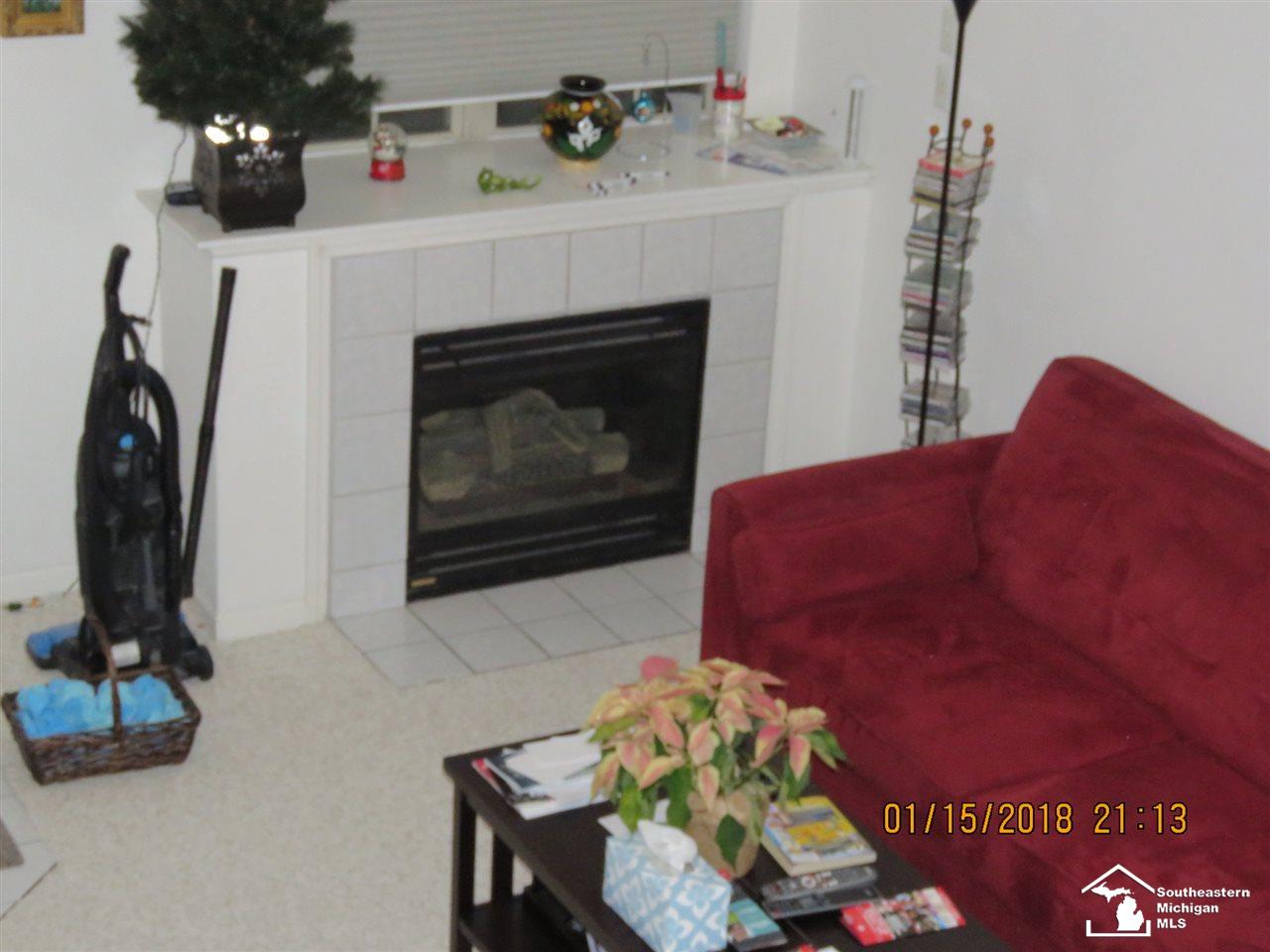 4308 Schaefer Road Dearborn, MI 48126 - Photo 4 of 18