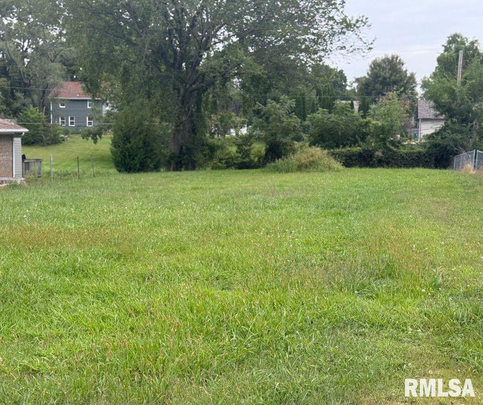 1013 14th Street Silvis, IL 61282 - Photo 4 of 5 a view of a yard with potted plants and large trees