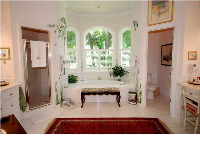 574 Chimney Bluff Drive Mount Pleasant, SC 29464 - Photo 21 of 24 Additional Photo
