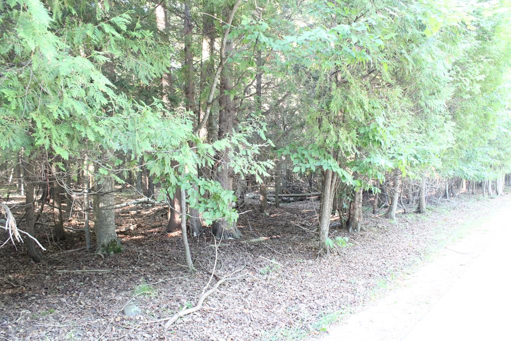 Lot 2 Gibraltar Road Fish Creek, WI 54212 - Photo 7 of 12