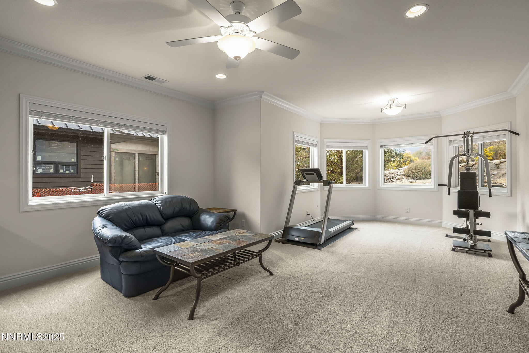 345 James Canyon Loop Genoa, NV 89411 - Photo 32 of 54 a living room with furniture gym equipment and a window