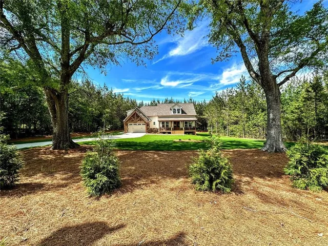 a view of a yard with plants and large trees