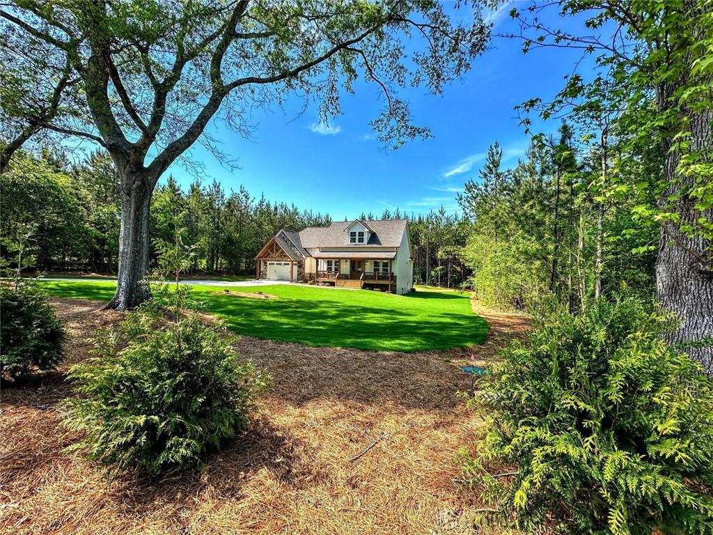 136 Rainey Road Temple, GA 30179 - Photo 4 of 78 a view of a yard with plants and large trees