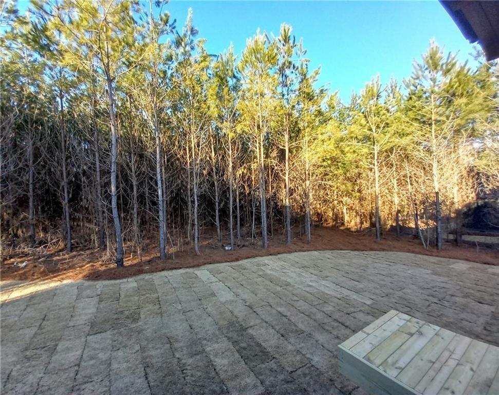 136 Rainey Road Temple, GA 30179 - Photo 73 of 79