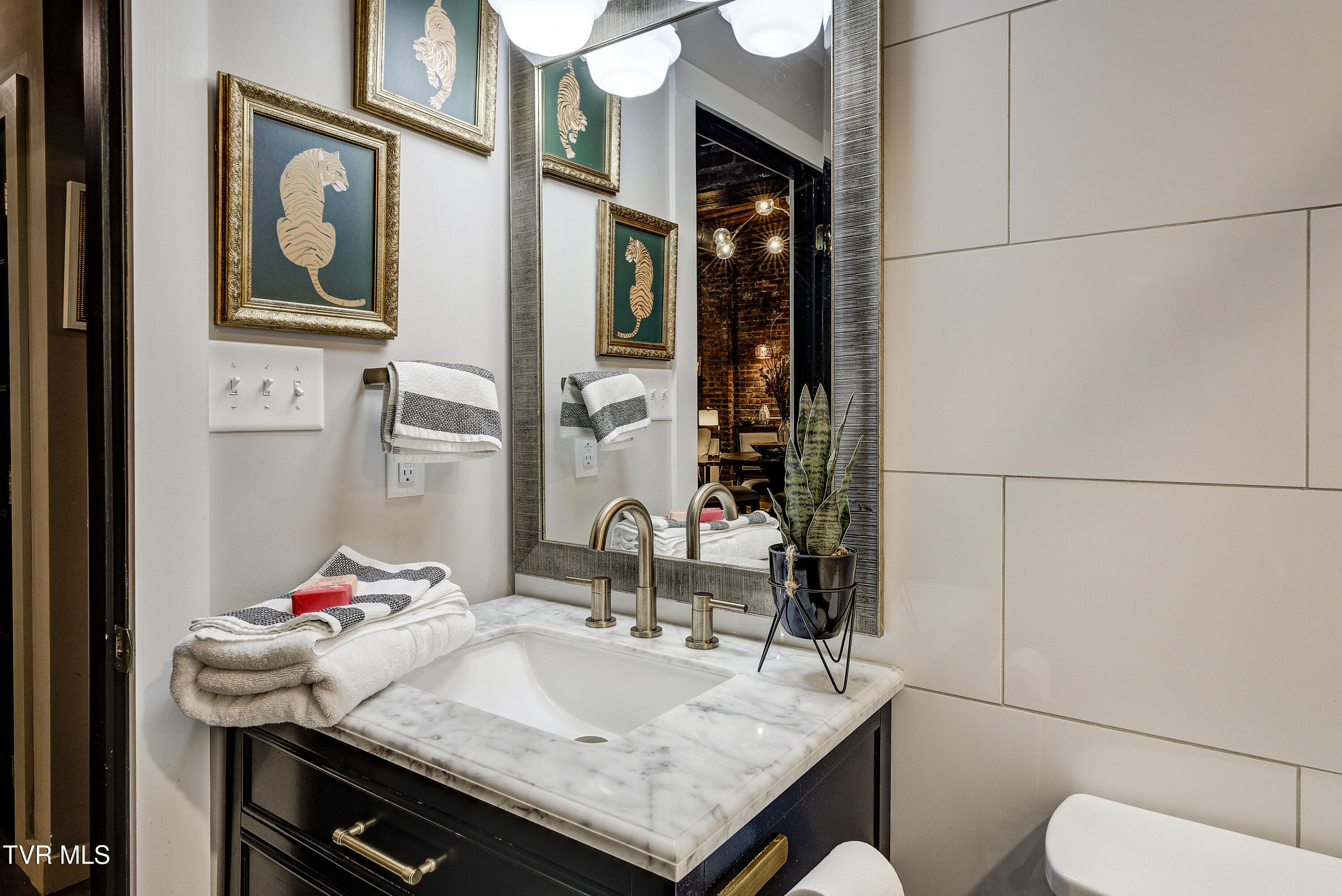 809 State Street, Unit 301 Bristol, VA 24201 - Photo 23 of 46 Cove2-21