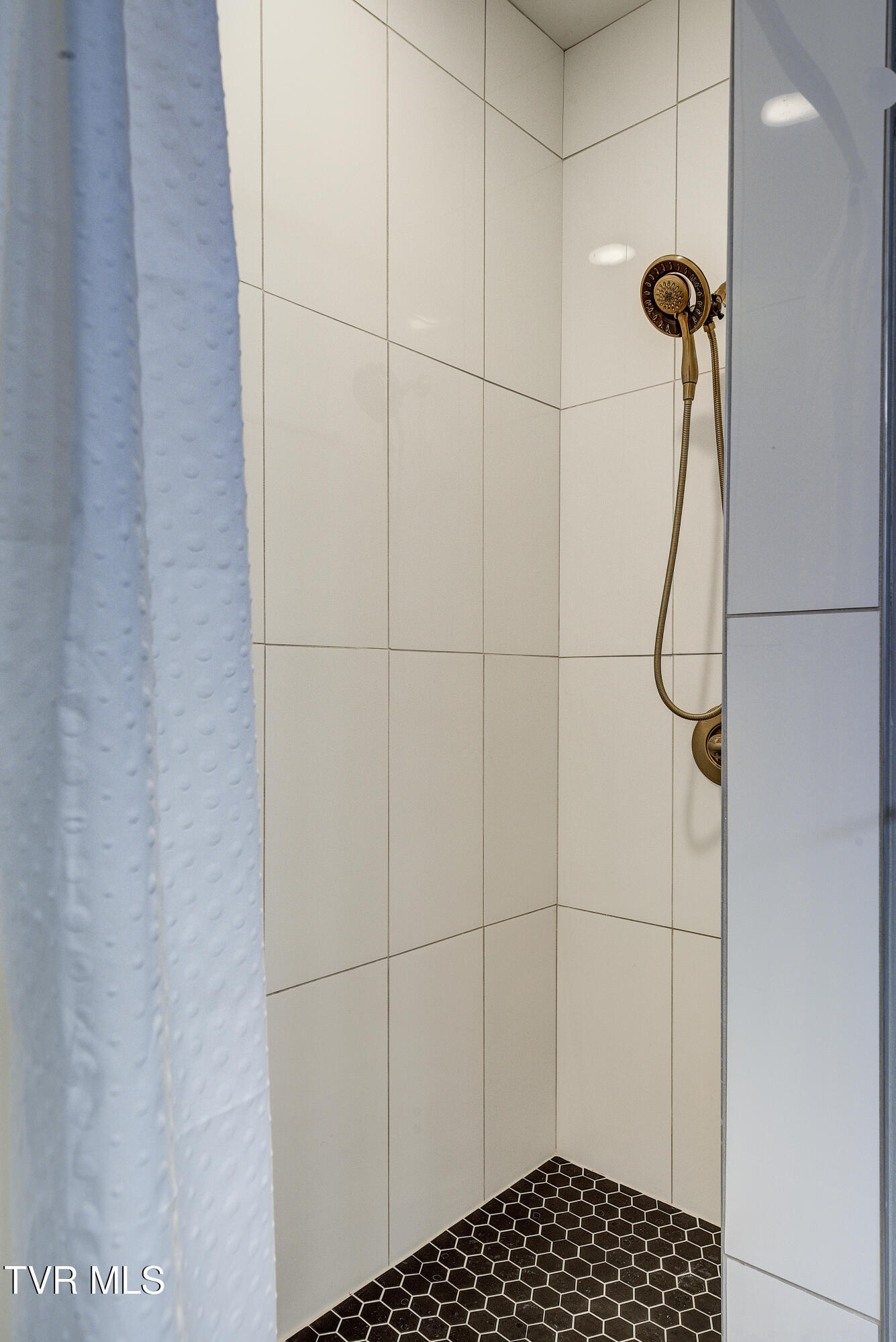 809 State Street, Unit 301 Bristol, VA 24201 - Photo 43 of 46 Cove2-34