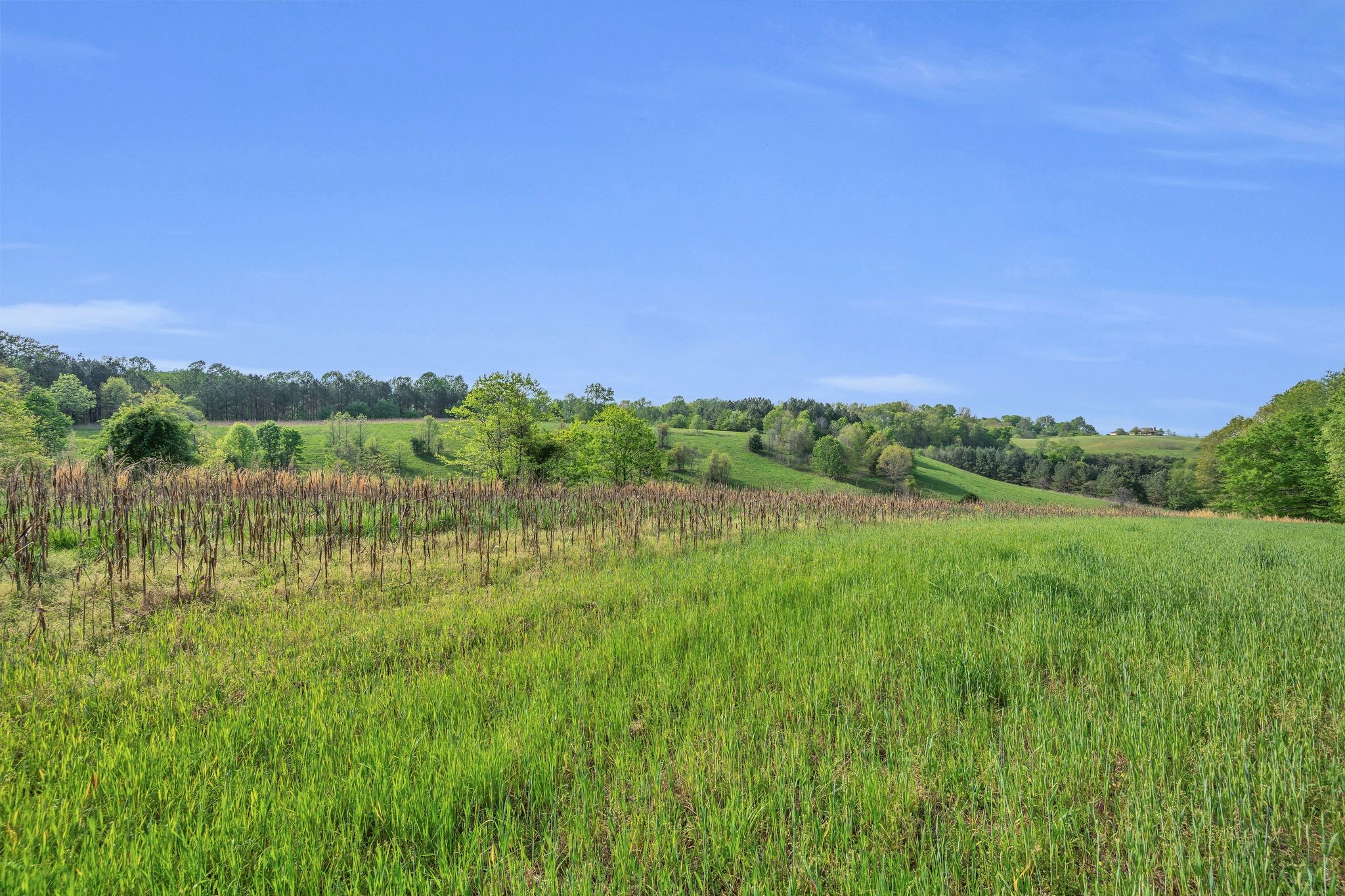 39 Fayetteville Road Kelso, TN 37348 - Photo 73 of 75 a view of a lush green outdoor space with a swimming pool and valleys in the background