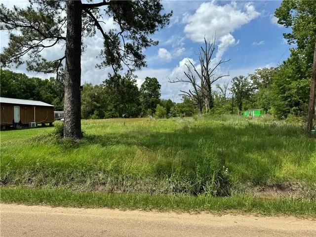 $20,000 | 0 Roseland Avenue, Roseland, LA 70456