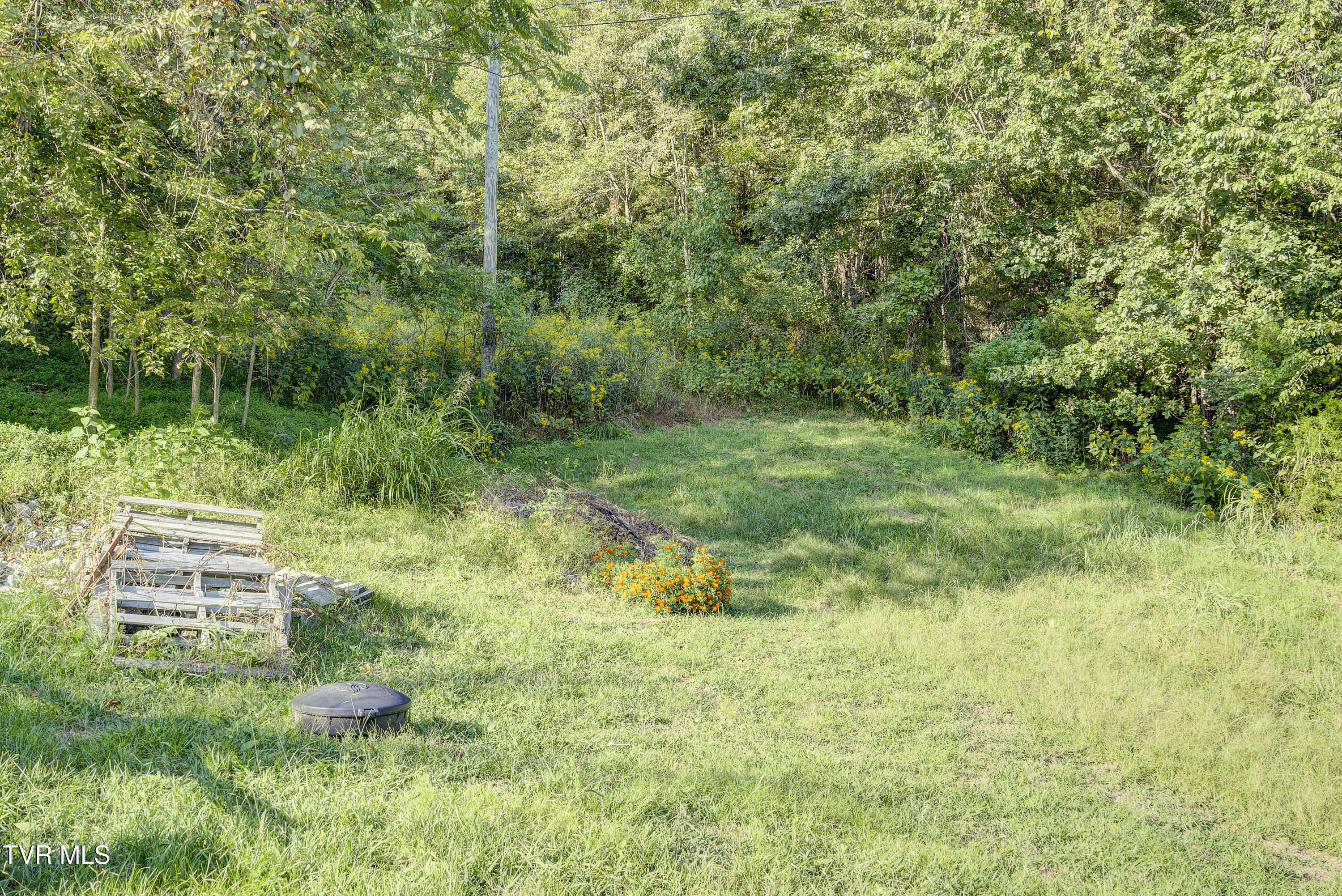 673 Charles Johnson Road Chuckey, TN 37641 - Photo 39 of 41 CharlesJohnson--51