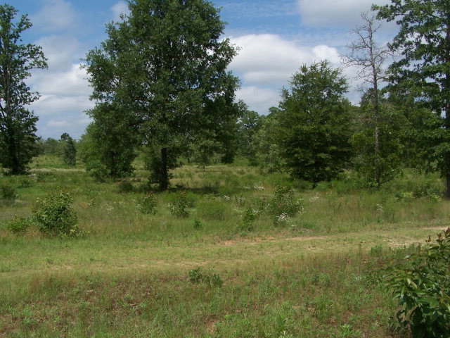 0 Windsor Road North Windsor, SC 29856 - Photo 1 of 1