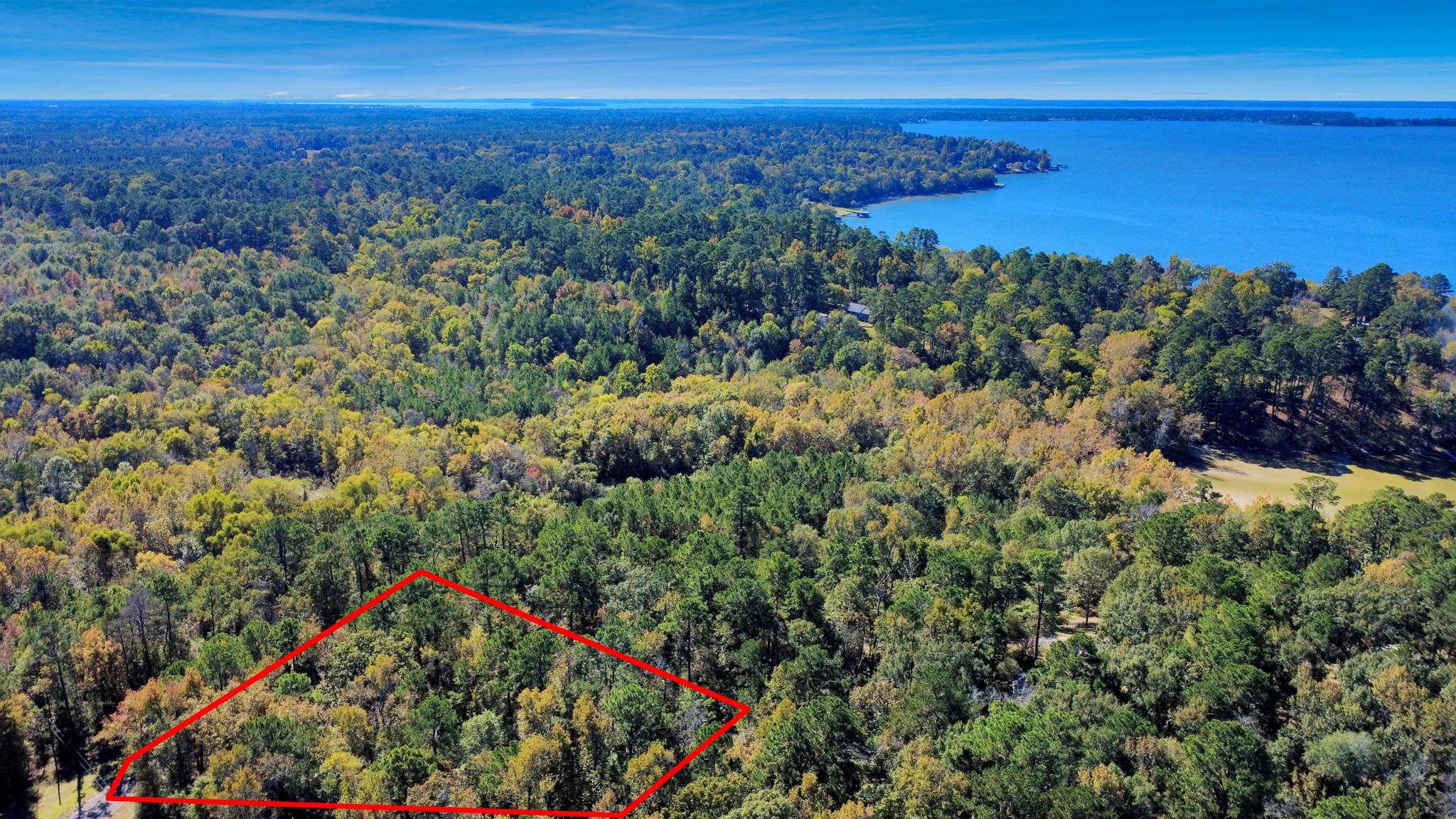 Tbd Deer Ridge Drive Livingston, TX 77351 - Photo 2 of 15