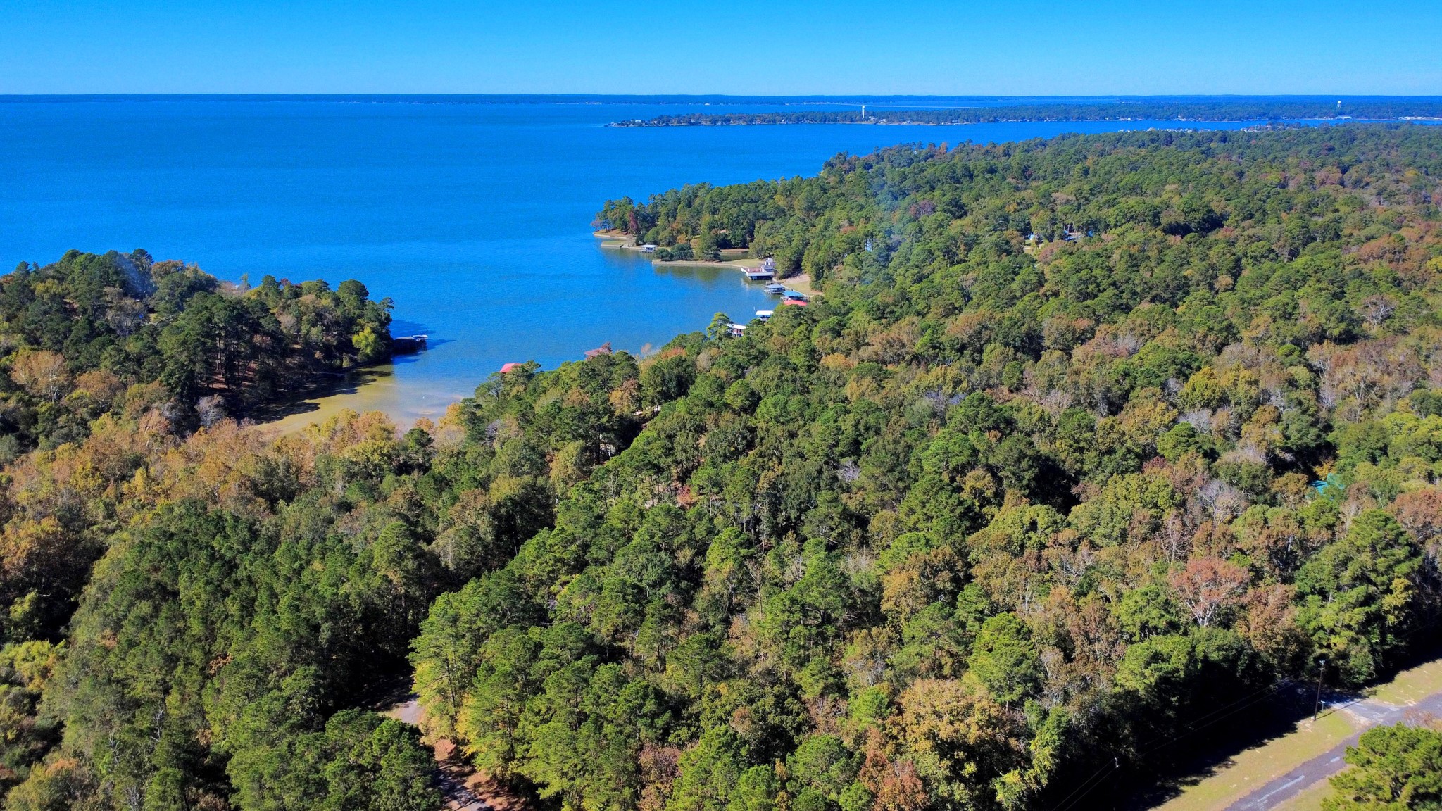 Tbd Deer Ridge Drive Livingston, TX 77351 - Photo 3 of 15 a view of a lake with a yard