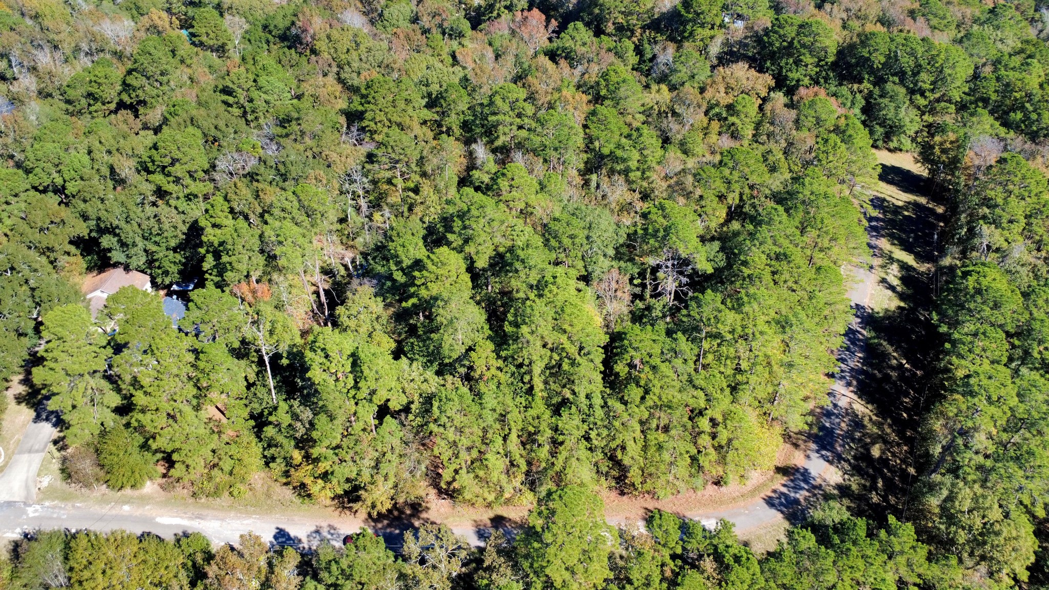 Tbd Deer Ridge Drive Livingston, TX 77351 - Photo 9 of 15 a view of a garden