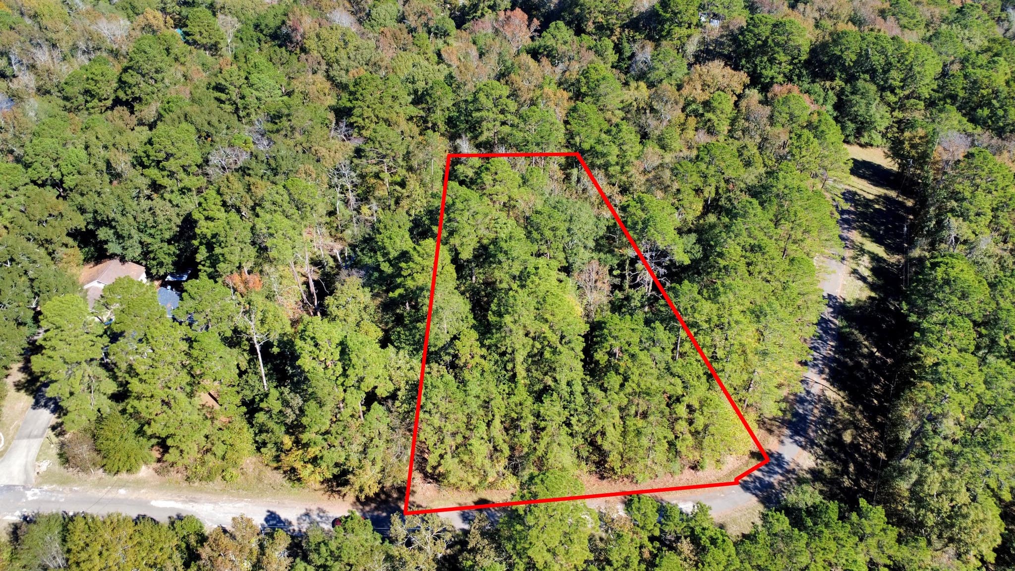 Tbd Deer Ridge Drive Livingston, TX 77351 - Photo 10 of 15 a backyard of a house with lots of green space