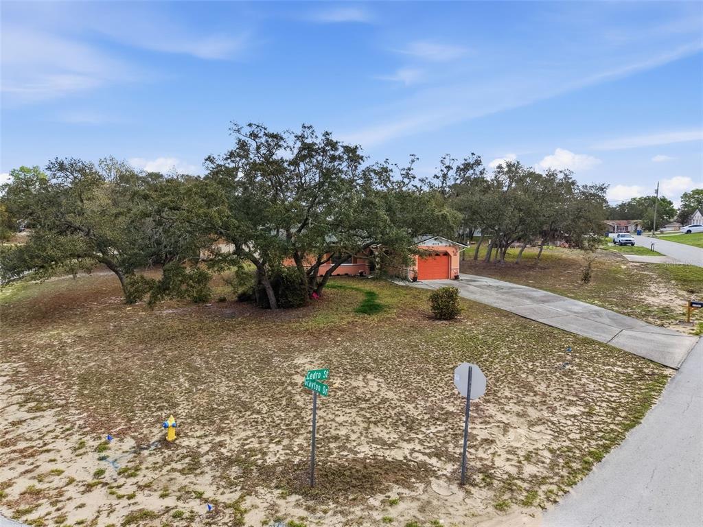 12229 Cedro Street Spring Hill, FL 34609 - Photo 41 of 50 a front view of a house with a yard