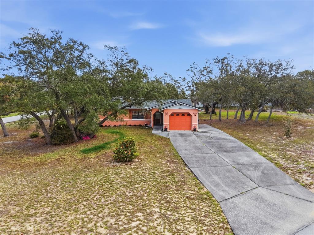 12229 Cedro Street Spring Hill, FL 34609 - Photo 7 of 50