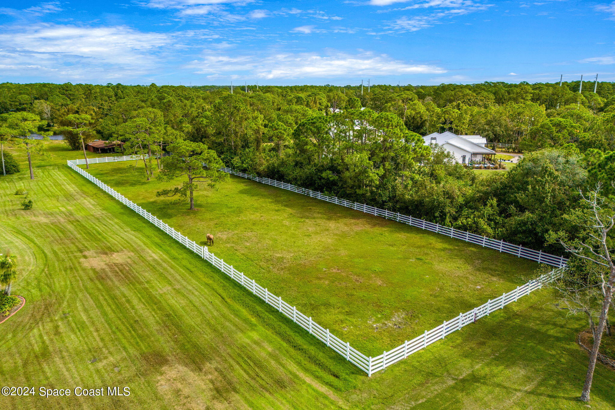 4650 Rayburn Road Cocoa, FL 32926 - Photo 78 of 81 aerial 6 - horse pasture